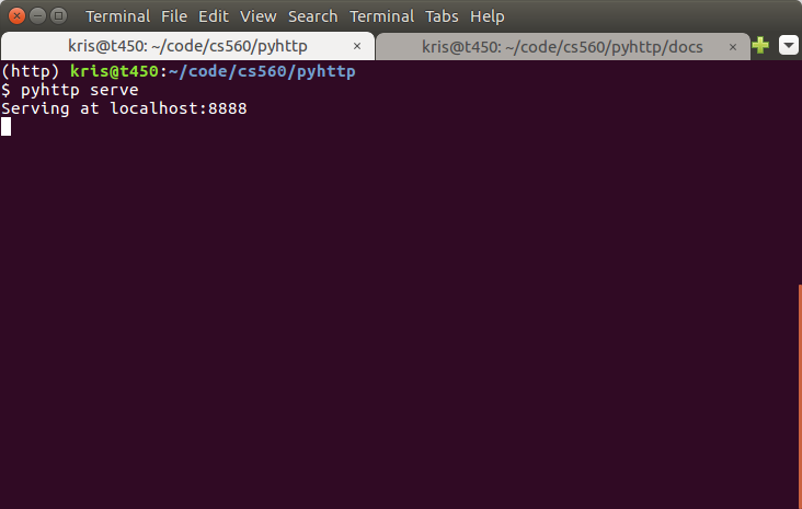 Server running in a terminal